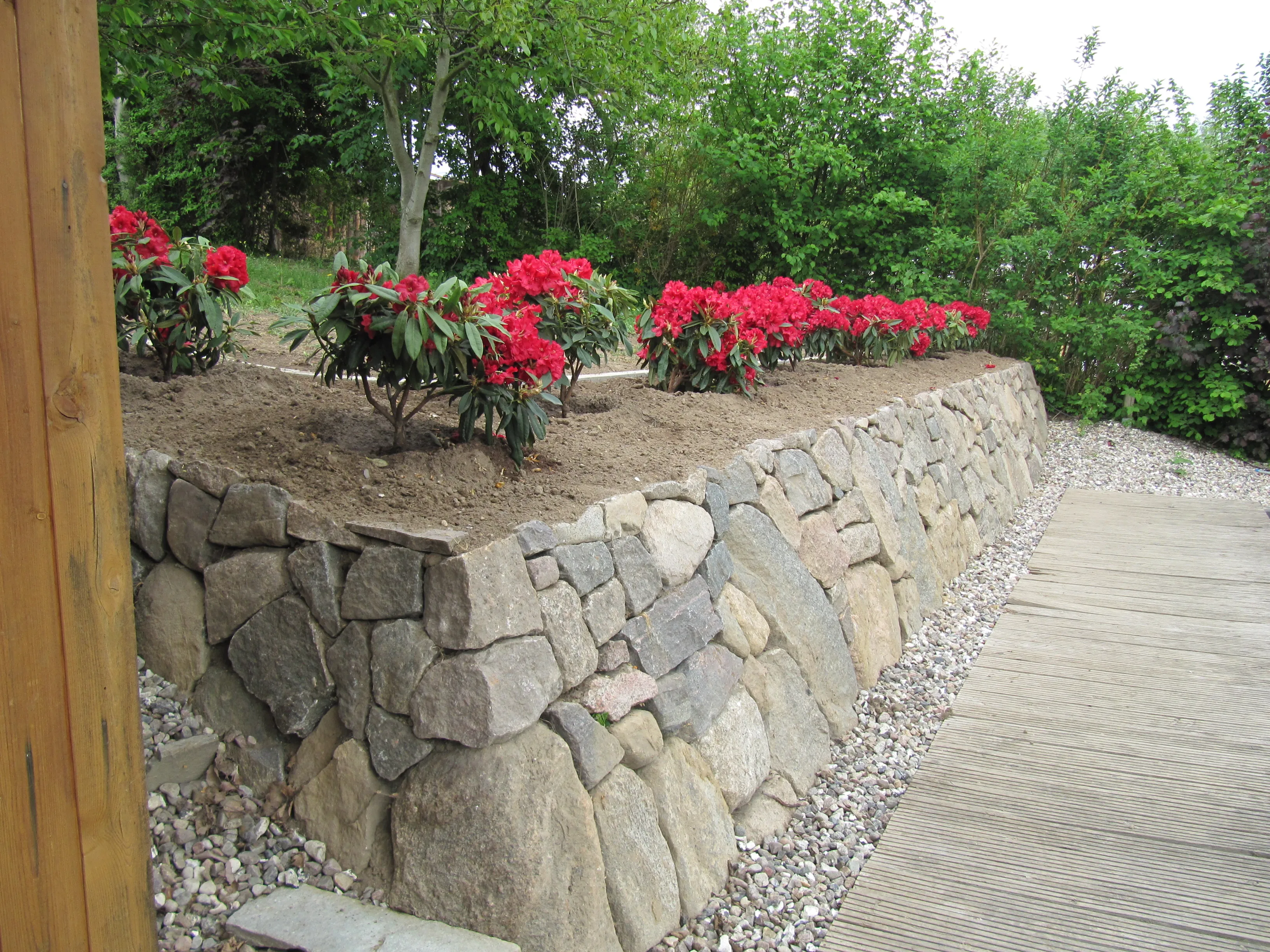 Natursteinmauer aus Findlingen als Hangbefestigung mit rot blühenden Rhododendren und Holzsteg