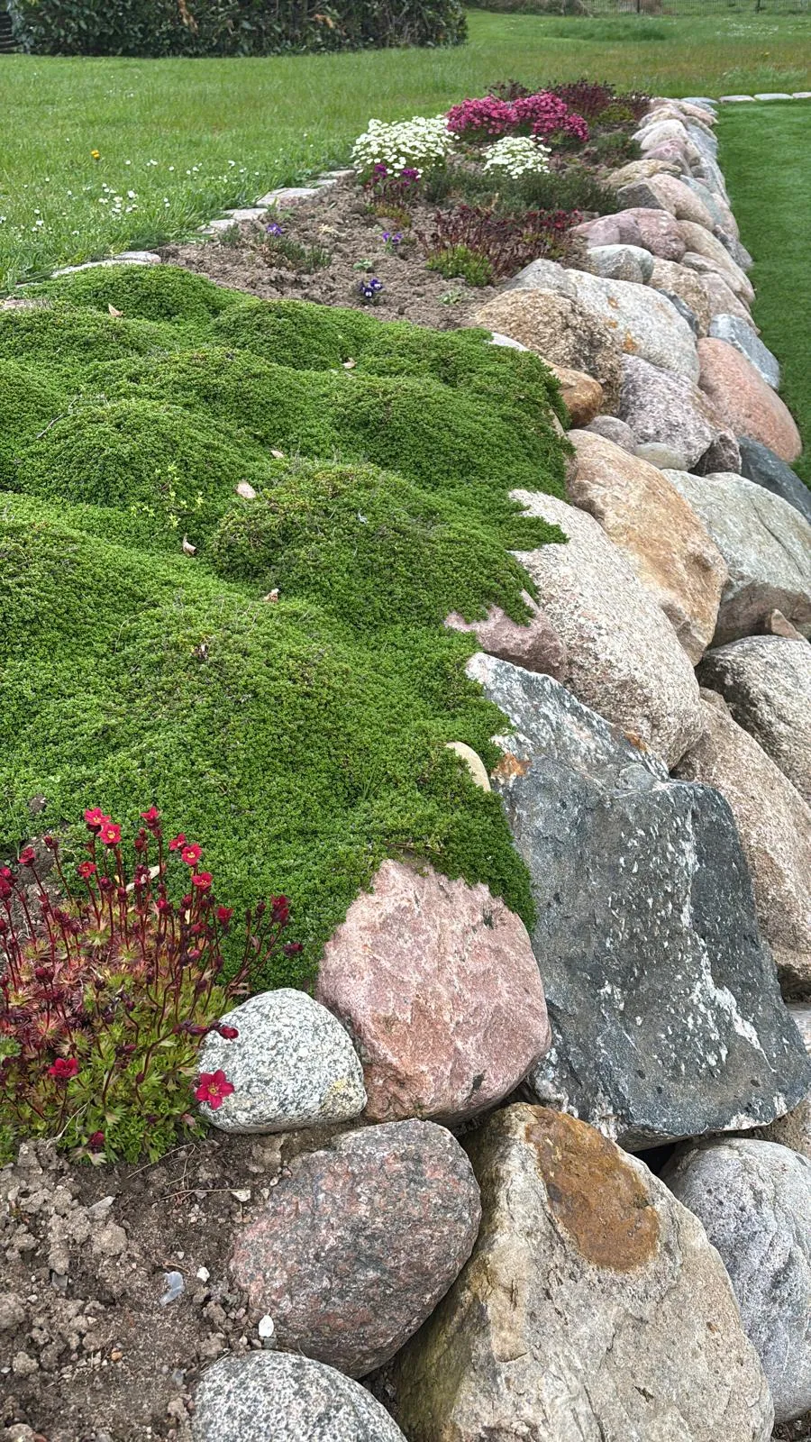 Natursteinmauer mit Moos und Bepflanzung neben dem angelegten Golfgreen